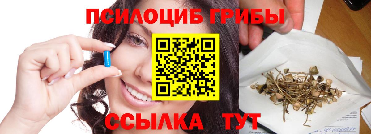 Псилоцибиновые грибы прущие грибы Туймазы